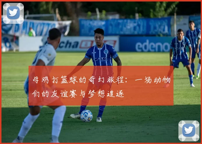 母鸡打篮球的奇幻旅程：一场动物们的友谊赛与梦想追逐