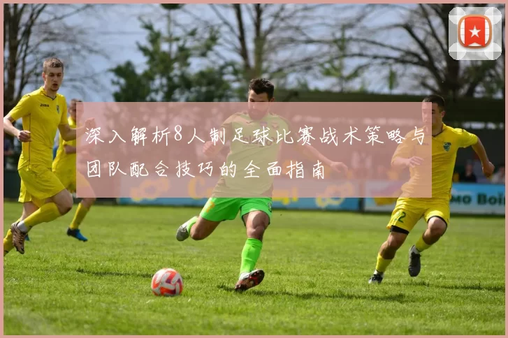 深入解析8人制足球比赛战术策略与团队配合技巧的全面指南