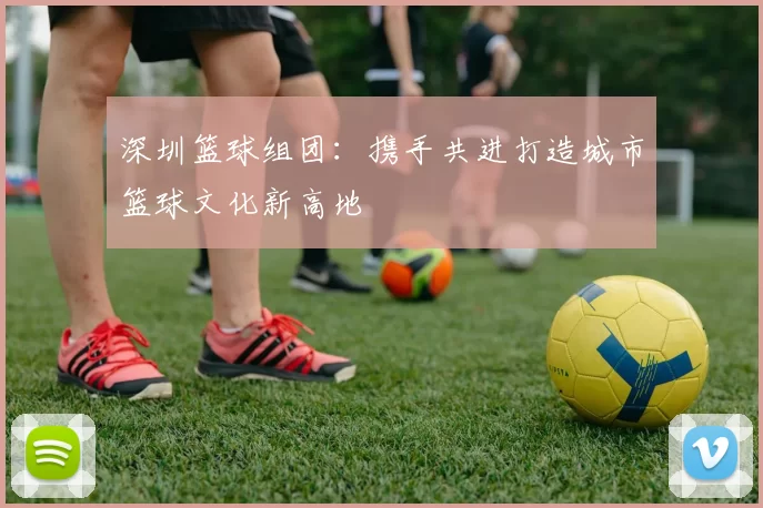 深圳篮球组团：携手共进打造城市篮球文化新高地